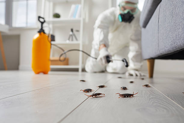 Post-Treatment Bed Bug Interceptor Monitoring in Pittsville