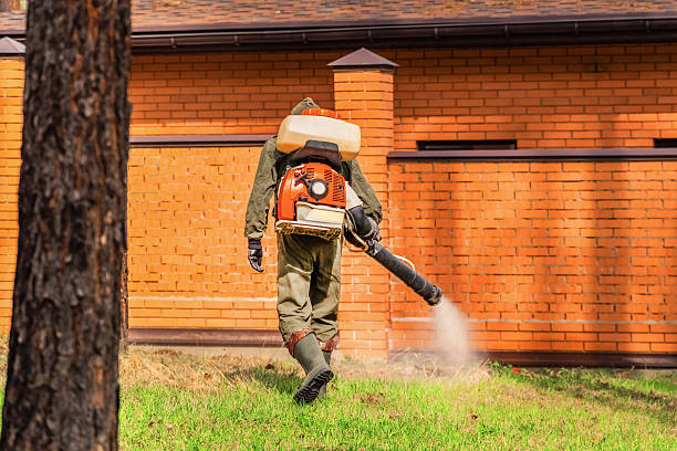 Bed Bug Clearance Verification and Documentation in Pittsville